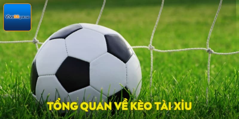 Tổng quan về kèo tài xỉu