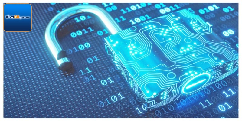 Thông tin thu thập từ hội viên