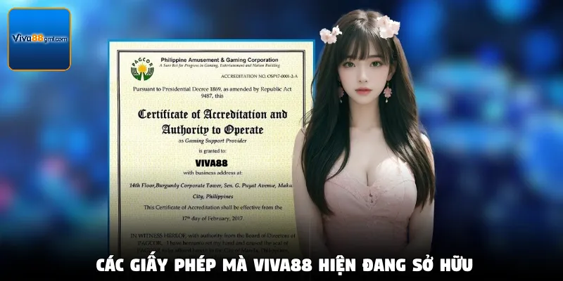 Các giấy phép mà Viva88 hiện đang sở hữu